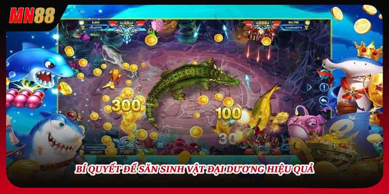 Bí quyết để săn sinh vật đại dương hiệu quả