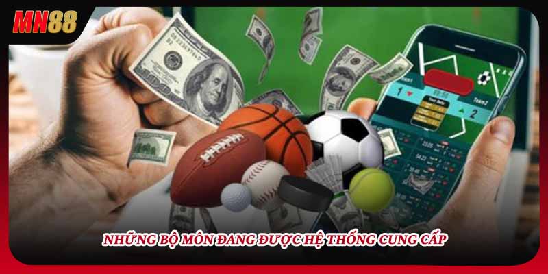 Những bộ môn đang được hệ thống cung cấp